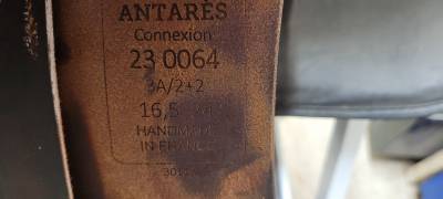 Sella mista Antarès  16.5