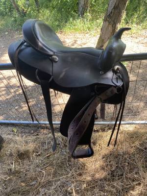 Sella western   18