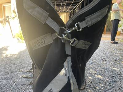  Horseware Occasione