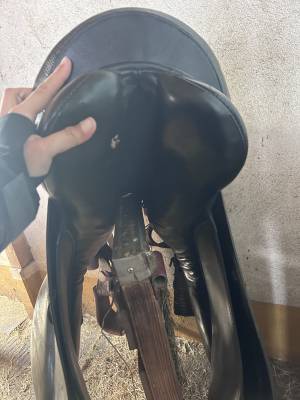 Sella da dressage Prestige Italia  18