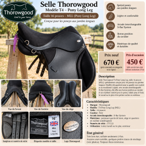 Sella Junior / Sella Pony Thorowgood   16