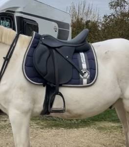 Sella mista Wintec  17