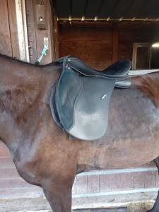 Sella mista Wintec  17