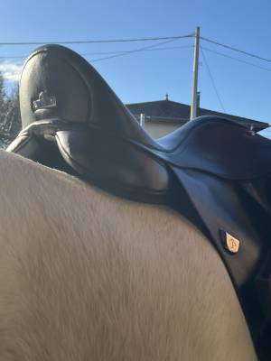 Sella da dressage Bates  17.5