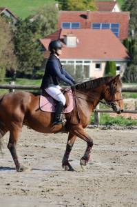  Kentucky Occasione