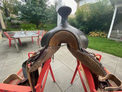Sella western   17