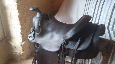 Sella western  MacPherson  18