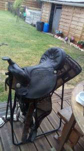 Sella western Kings  18.5