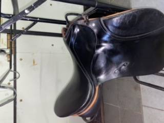 Sella da dressage Passier Young Champ  16