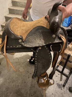 Sella western   19
