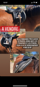 Sella da salto ostacoli Mondange  15