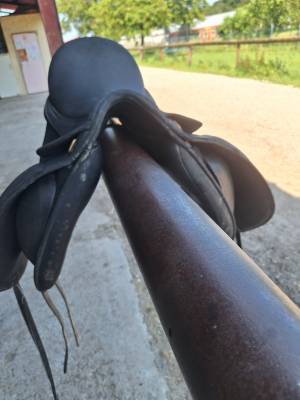 Sella da dressage Wintec  17