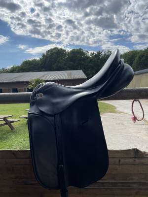 Sella da dressage   17