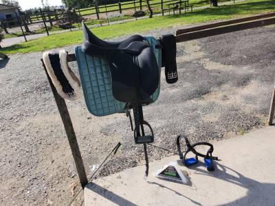 Sella da dressage Wintec  18