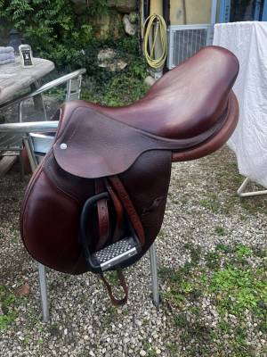 Sella mista CWD  17