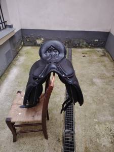 Sella da dressage Aulion  16.5