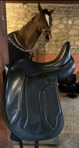 Sella da dressage Eric Thomas  17