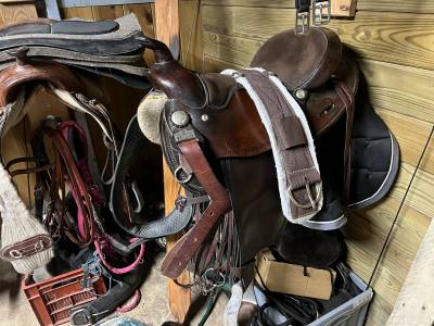 Sella western  Big horn 15