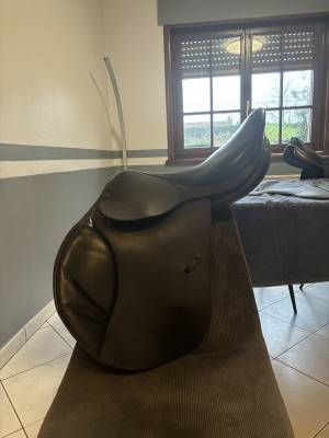 Sella mista Forestier  17.5