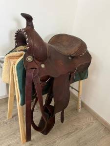 Sella western   17
