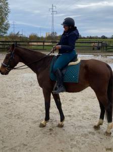  Showmaster Occasione