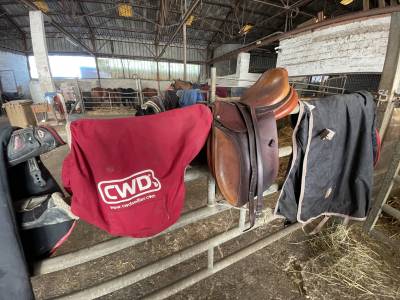 Sella da salto ostacoli CWD SE06 semi creus 17.5
