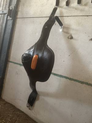  Stubben Occasione