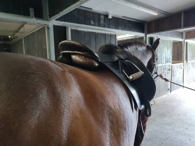 Sella da dressage  KN 17.5