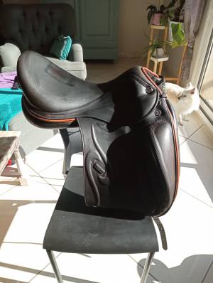 Sella da dressage Prestige Italia  18