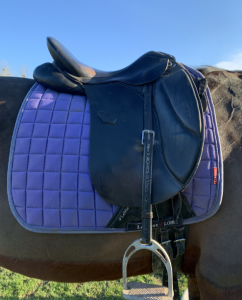 Sella da dressage  Mozart 17.5