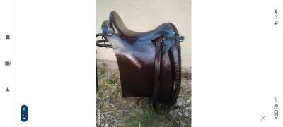 Sella spagnola   17.5