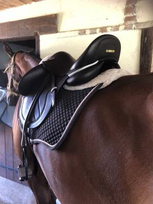 Sella da dressage  CWD  17.5