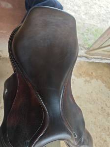 Sella da salto ostacoli Ikonic  17