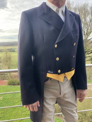  Pikeur Occasione