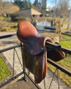 Sella mista Delgrange  17.5