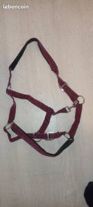  - Altra Marca - Occasione