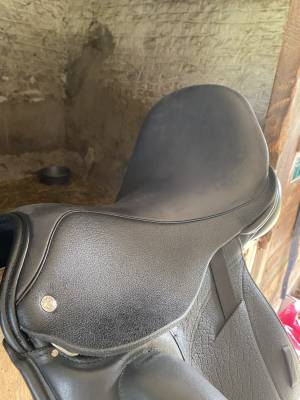 Sella da dressage  Custom saddlery 18