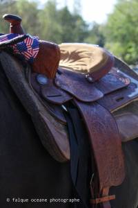 Sella western  Royal showman 16