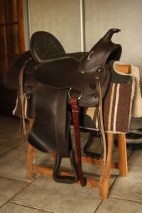 Sella western   16