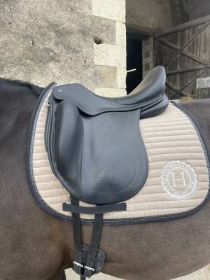 Sella da dressage Childeric  17.5