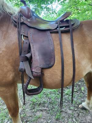 Sella western Continental  17.5