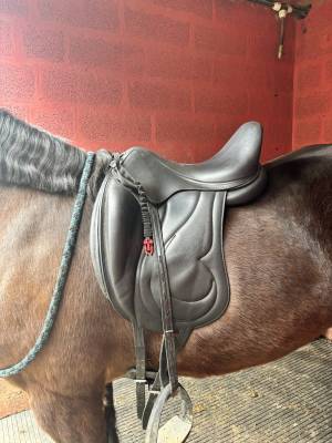Sella da dressage Antarès  17