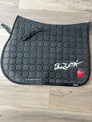  Equiline Occasione