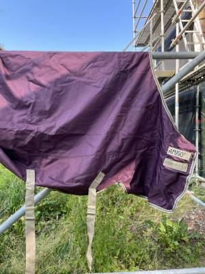  Horseware Nuovo