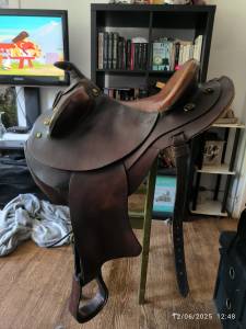 Sella australiana  Australienne  17.5