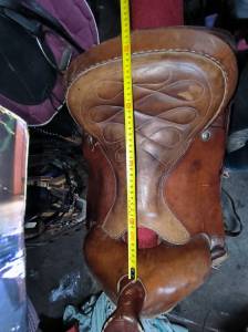 Sella western Barnes  17