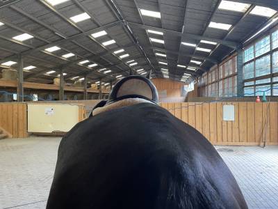 Sella da dressage Childeric  17.5