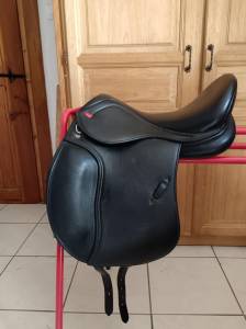 Sella Junior / Sella Pony John Whitaker Highgate 15.5