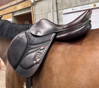 Sella da salto ostacoli Pariani Custom Jump Lady 17.5
