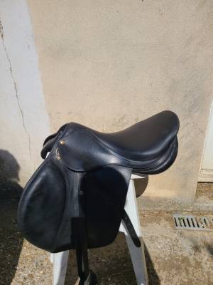 Sella mista Forestier  17